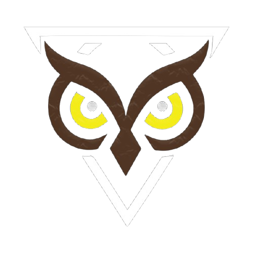 DS Studio Apparel Manufacturing logo